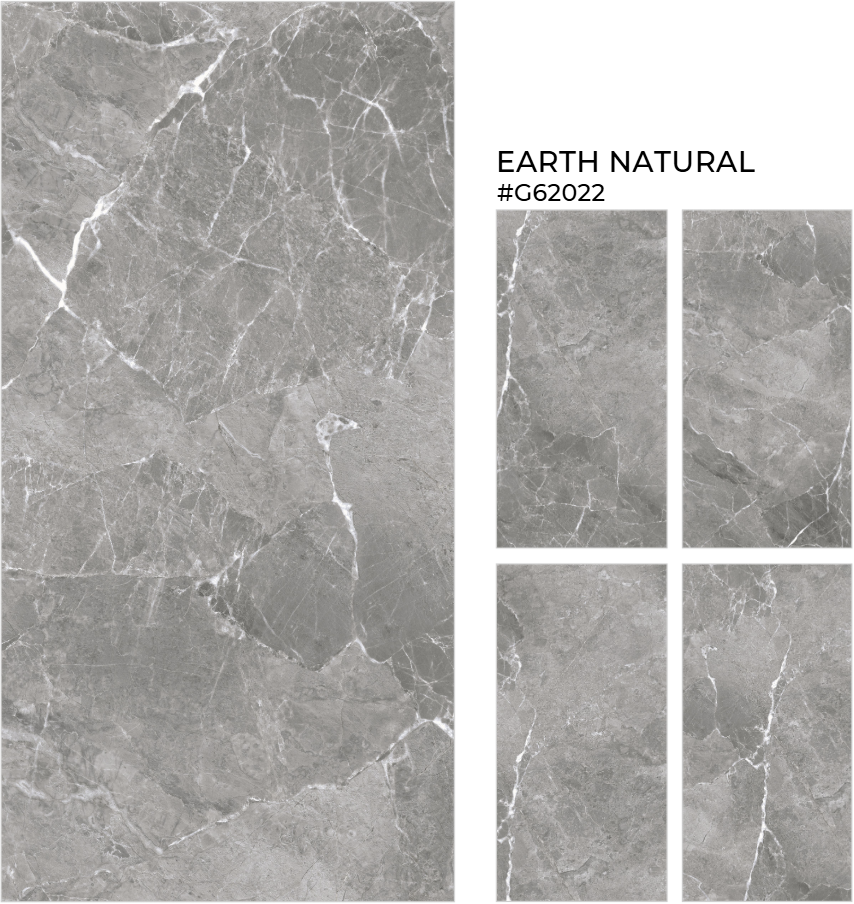 GẠCH ẤN ĐỘ 600X1200 EARTH NATURAL AZ-G62022